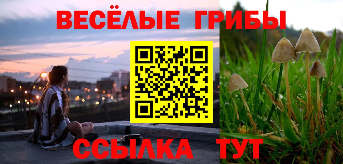 Псилоцибиновые грибы ЛСД Дивногорск